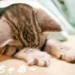 文字化け解消ならず、リセットで出直し