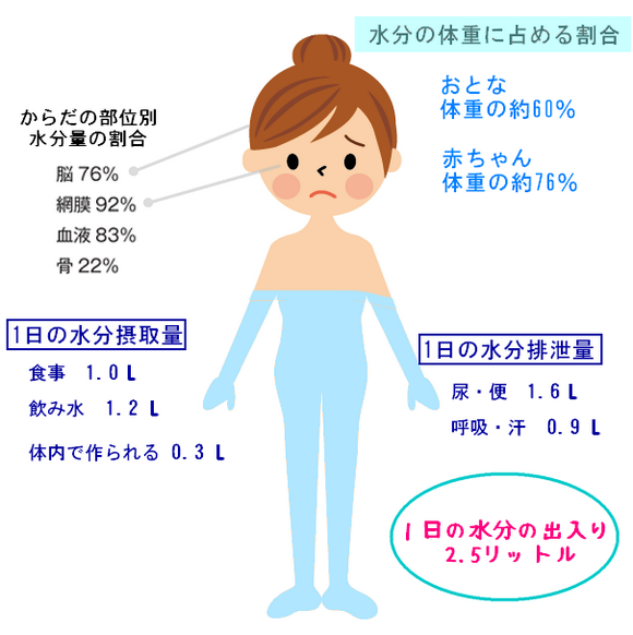 水分比を説明するイラスト