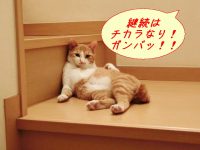 毎日続ければ筋トレになる日常「ながら運動」と効果的な運動のやり方