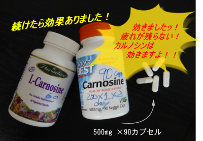 イミダゾールジペプチド(カルノシン)3ヶ月で脳の疲労回復を実感