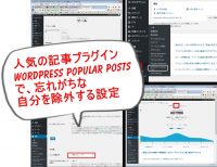 WordPress Popular Postsの集計から自分のアクセスを除外するには?