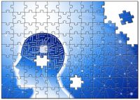 物忘れは脳の進化、AI研究でわかった「脳の本番、成熟期は56才から」