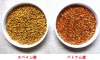 花粉の栄養がスゴイ｜完全食品ビーポーレン(花粉荷、ハチミツ花粉）