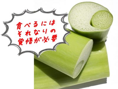 青ずいき・はすいも(里芋の茎)のシュウ酸はとんでもない痛さ