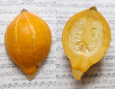 カボチャの新種コリンキー｜生で食べられクセがなく歯ごたえよし