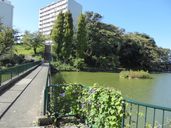 竹山団地人工池付近