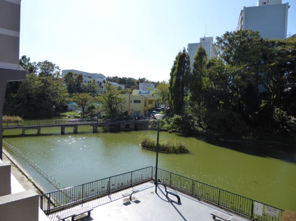 池の畔の休憩スペース