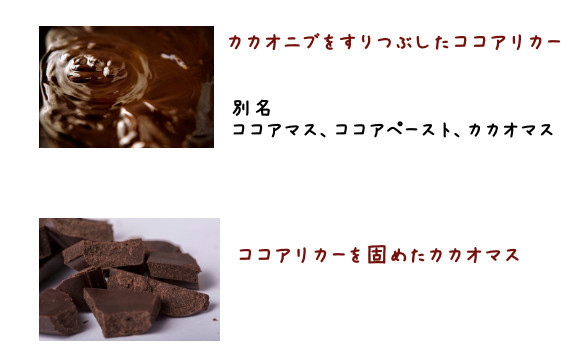 カカオの加工過程説明図