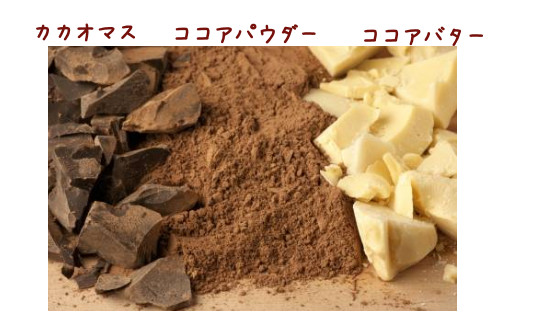 ココアの加工工程