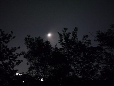 脳が想い描くことなどごく小さい。気分こそ現実をつくるエネルギーだ