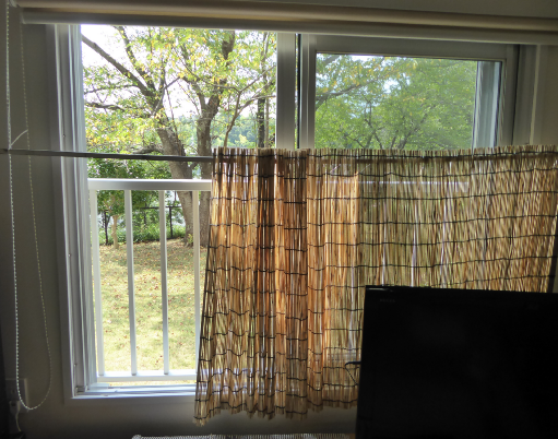 ヨシズでひよけ