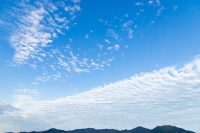 ウィズコロナがもたらした社会的空気