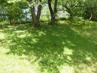 楽しい草むしり