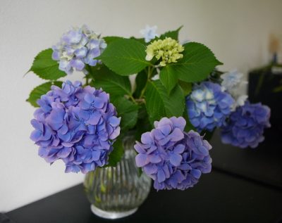 孤独死、孤立死！？独居死でいいじゃないの｜死後手続きの流れ