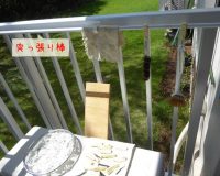 日常を愉しむ|にぎやかで楽しい鳥のさえずり