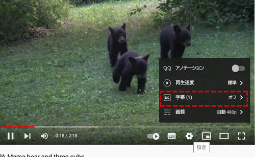 動画翻訳字幕