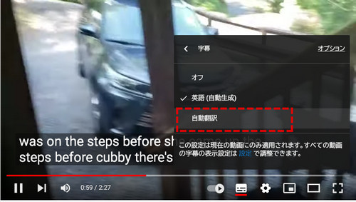 動画翻訳字幕
