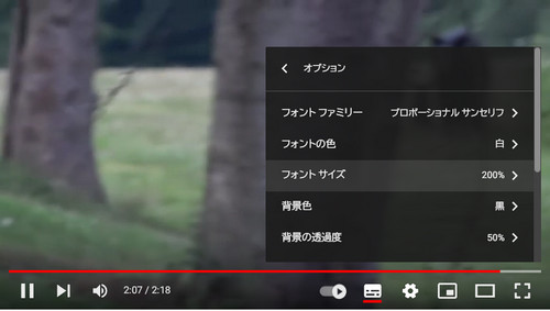字幕設定
