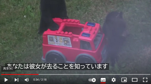 自動翻訳字幕表示