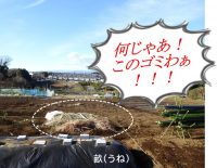 畑終了！｜急展開、波乱の年明けですぅ