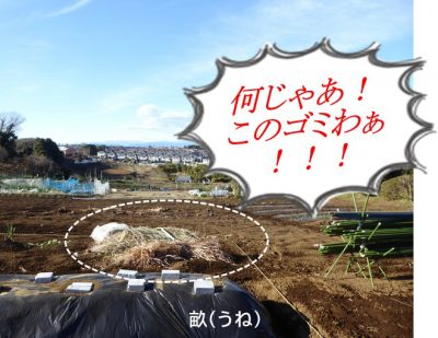 畑終了！｜急展開、波乱の年明けですぅ