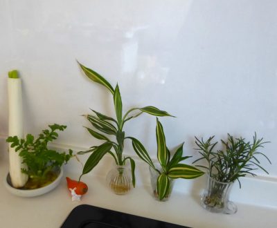 りんごとおから・ホットケーキミックスでテキトーに作った焼き菓子