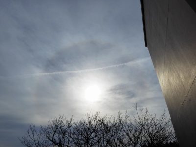 なんかパワーアップしてる！｜増えているサイキッカーは玉石混交