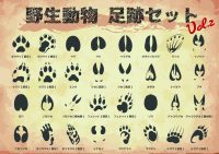 富士川周辺の生き物たち｜鹿、狸、猿の出没は日常茶飯事のようです