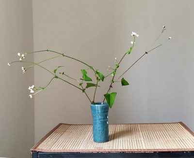 人付き合いがないことの爽快さ♪