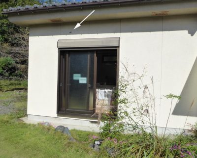 ばあさん、すでに日向ぼっこしてますw