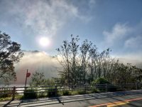 すてきな靄（もや）った朝なのにアレルギー再発で眼が痛い