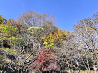 音は”気”を生み出している