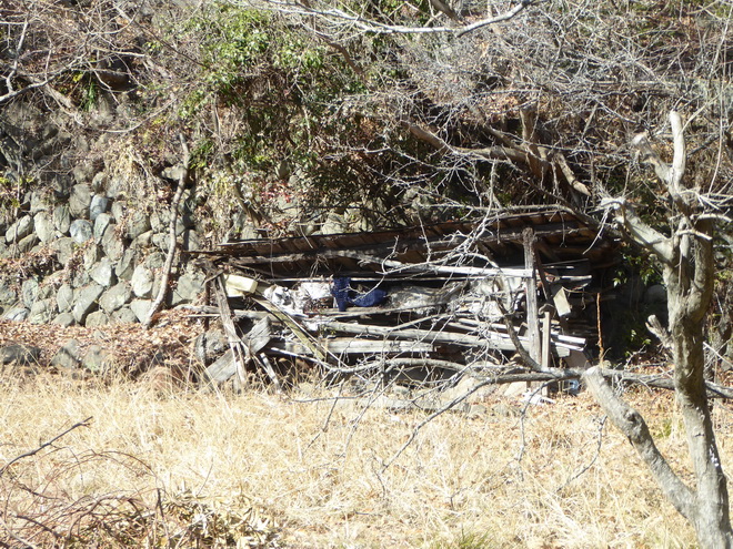 野良にゃんの日向ぼっこテリトリー