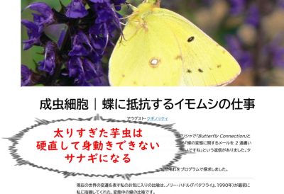 イモムシが蝶になる過程は「人類のパラダイムシフト」を示している