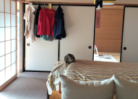 これはにゃんと！　ハプニング