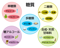 糖質代謝｜糖は生体エネルギーの原料で常に体中の血管を流れている