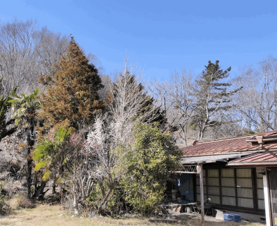 雨夜に侵入を試みた？不審な動物