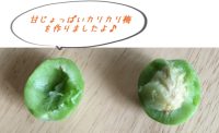 青梅の「カリカリはちみつ梅」出来上がりました♪