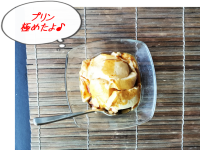 ついに極めた!?試行錯誤のプリン作り|ハチミツで極上の出来上がり