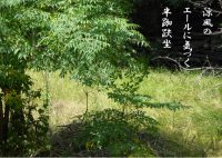 心地よいことはすべて”あちらの”エールだ｜坐行メモ