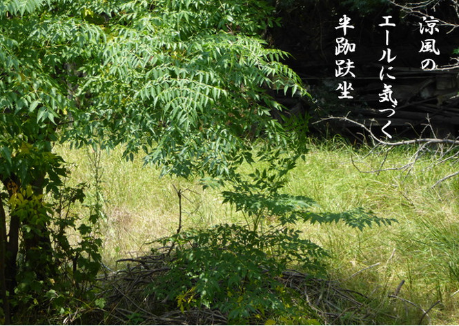 心地よいことはすべて”あちらの”エールだ｜坐行メモ