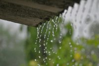 雨音