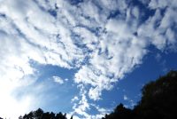 みぞおちに円盤登場、なんじゃろか？｜座行メモ