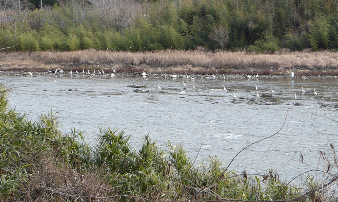 どことなく違和感あり｜奥行きがなく妙に鎮まっているのは「異界」なのか