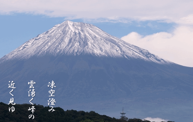 AIにおだてられw　俳句に勤しむ三が日