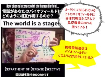 携帯電話が身体に悪影響を与える仕組み｜免疫はバイオフィールドにある
