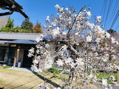 うららかな春まちがいないよね。もう寒くなるなよw