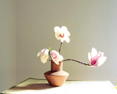 あれま！今度は歯科！今年はこういう年回り！？