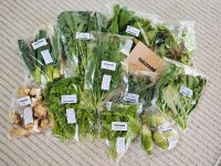 通販の天然酵母パンと有機野菜でリッチな朝食