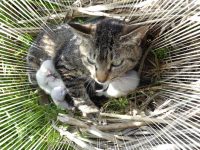 安穏な暮らしに事件発生！